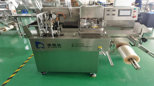 真空包裝機 專注食品包裝機 全自動包裝機