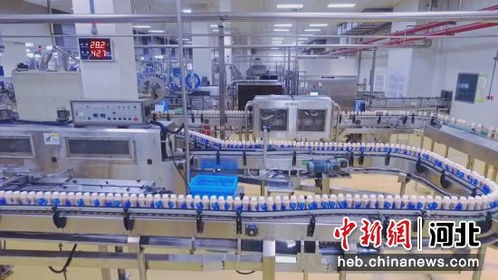河北大廠(chǎng) 龍頭帶動(dòng)打造都市食品產(chǎn)業(yè)集群